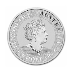 1 oz Kangaroo Silver Coin (2021) - 2