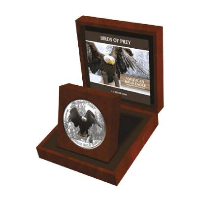 AgaKulche Birds Of Prey American Bald Eagle 1 Ons 31.10 Gram Gümüş Sikke Coin (999.0) - 3