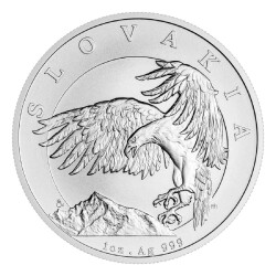  Eagle 2024 1 Ounce 31.10 Gram Silver Coin (999.0) - 1