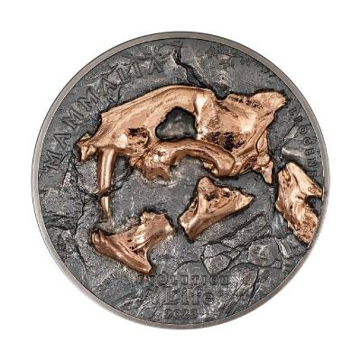 Evolution Of Life Nimravidae 2023 1 Ons 31.10 Gram Gümüş Sikke Coin (999.9) - 1