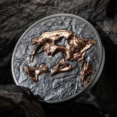 Evolution Of Life Nimravidae 2023 1 Ons 31.10 Gram Gümüş Sikke Coin (999.9) - 3