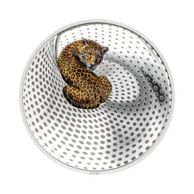 Leopard Camouflage 2024 3 Ons 93.30 Gram Gümüş Sikke Coin (999.9) - 1