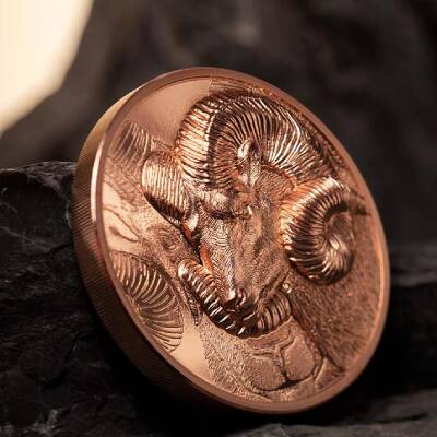 Magnificent Argali 2022 50 Gram Copper Coin (999.0) - 3
