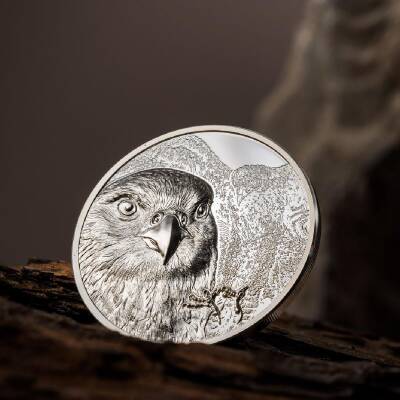 Mongolian Falcon 2023 1 Ons 31.10 Gram Gümüş Sikke Coin (999.0) - 3