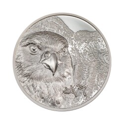 Mongolian Falcon 2023 1 Ounce 31.10 Gram Silver Coin (999.0) - 1