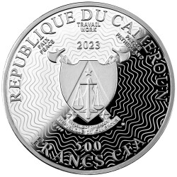 Pluton Case 500 CFA Silver Coin 999 - 2