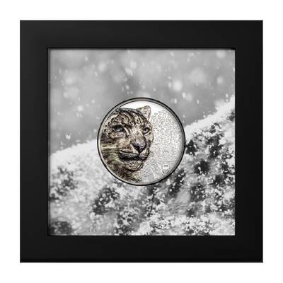 Snow Leopard 2024 1 Ounce 31.10 Gram Silver Coin (999.9) - 2
