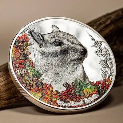 Woodland Spirits Chipmunk 2023 1 Ounce 31.10 Gram Silver Coin (999.0) - 3