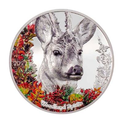 Woodland Spirits Deer 2022 1 Ons 31.10 Gram Gümüş Sikke Coin (999.0) - 1